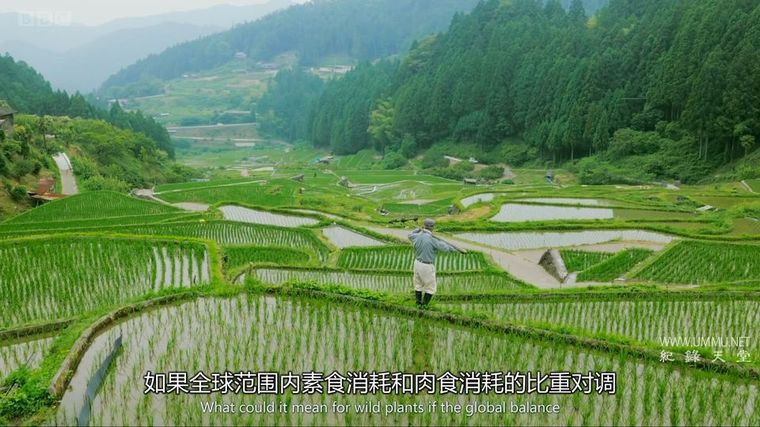 纪录片《绿色星球 The Green Planet 2022》全5集