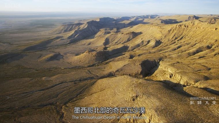 纪录片《绿色星球 The Green Planet 2022》全5集