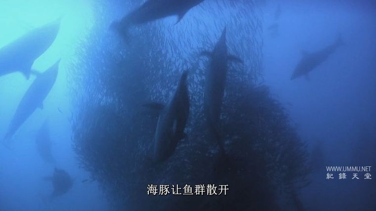 《失败掠食者 Predator Fail 2014》第一季全3集