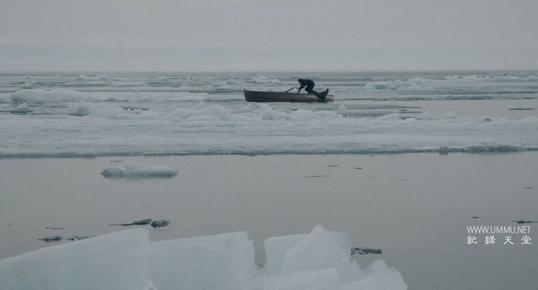 纪录片《在西伯利亚森林中 In the Forests of Siberia 2016》