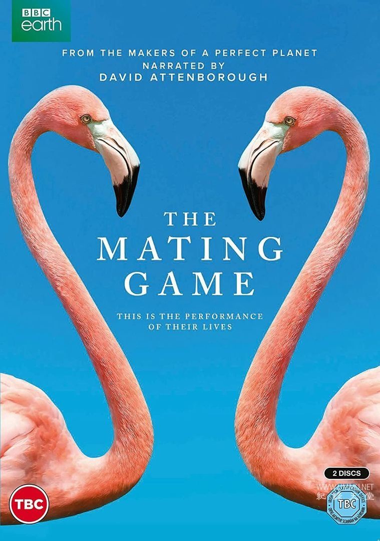 纪录片《求偶游戏 The Mating Game 2021》全6集