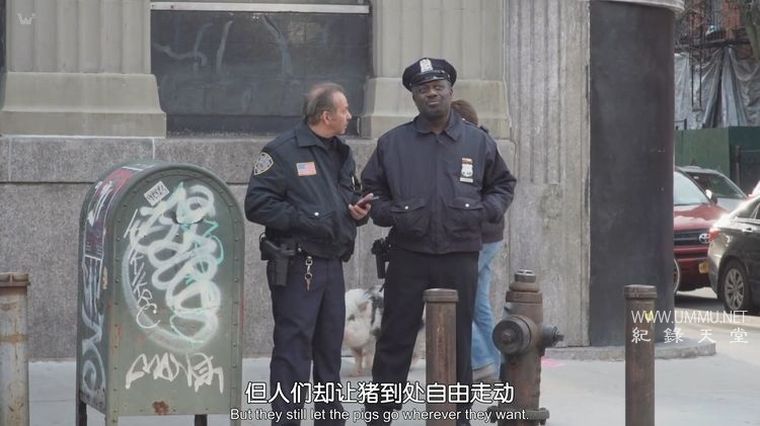 《约翰·威尔逊的十万个怎么做 How to with John Wilson 2020》第一季全6集