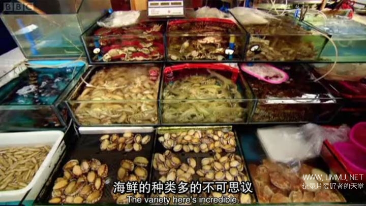 exploring-china-a-culinary-adventure2