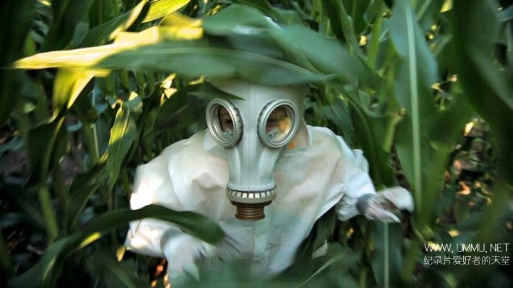 gmo-omg1