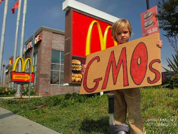 gmo-omg2