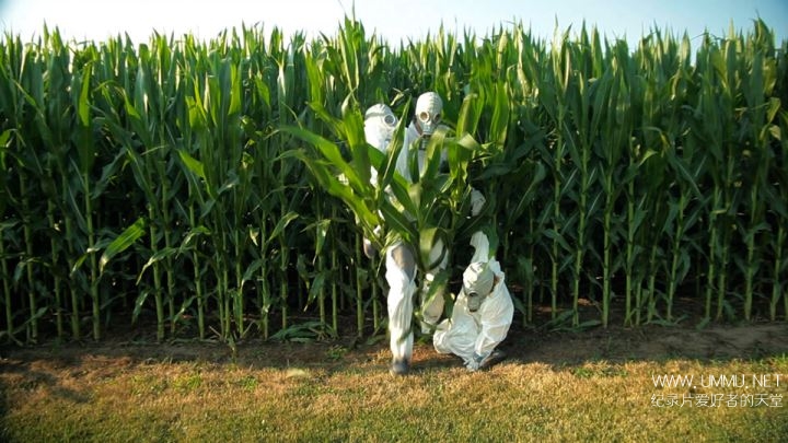 gmo-omg3