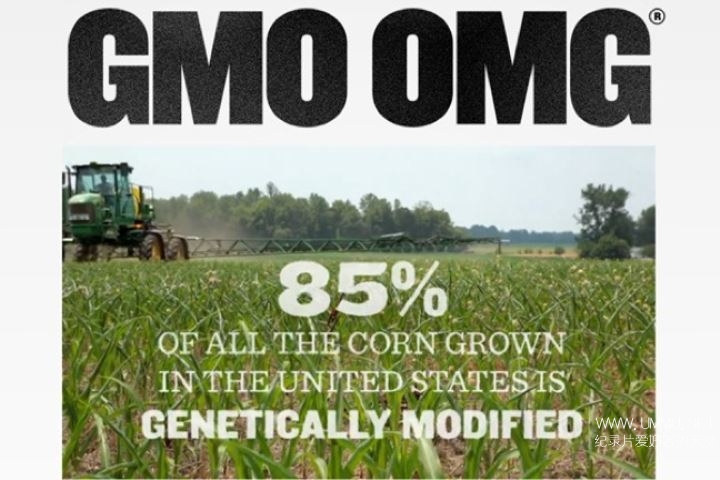 gmo-omg4